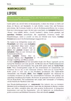 Vorschau - Stundenentwürfe - World Café - Makromoleküle (Proteine, Kohlenhydrate, Fette) - Seite 2