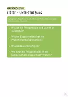 Vorschau - Stundenentwürfe - World Café - Makromoleküle (Proteine, Kohlenhydrate, Fette) - Seite 3