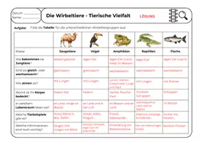Vorschau - Arbeitsblätter - Wirbeltiere - Tierische Vielfalt; Wirbeltierklassen im Vergleich - Seite 2