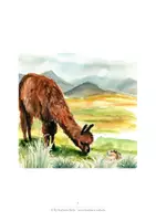 Vorschau - Videos - Warum Lamas spucken - bebildertes Märchen mit "Lesefilm" - Seite 3
