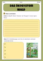 Vorschau - Arbeitsblätter - Ökosystem Wald- Einführung | Unterrichtsreihe "Ökosystem Wald", Biologie, 7.-8. Klasse - Seite 3