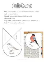 Vorschau - Mal- und Bastelvorlagen - Lesezeichenecke Gimpel Dompfaff - Seite 2