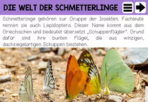 Vorschau - Interaktives Material - DER SCHMETTERLING - interaktive Präsentation - Seite 3