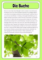 Vorschau - Merkblätter - Infotexte - Bäume des Waldes - Seite 1