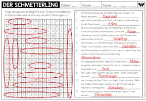 Vorschau - Arbeitsblätter - Schmetterling – Begriffe suchen und Wortschatz festigen | Suchsel-Arbeitsblatt 4.–5. Klasse - Seite 2