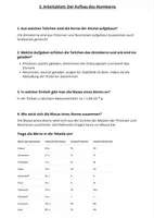 Vorschau - Unterrichtsreihen - Der Aufbau des Atomkerns (mit Lösungen) - Seite 2