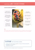 Vorschau - Bildkarten - DIE FEUERWANZE: Hintergrundwissen und Bildmaterial - Seite 3