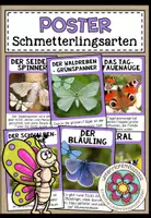 Vorschau - Poster - Schmetterlingsarten kennenlernen – heimische und besondere Schmetterlinge | Poster 4.–5. Klasse - Deckblatt
