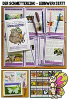 Vorschau - Stundenentwürfe - DER SCHMETTERLING - Materialpaket - Seite 2