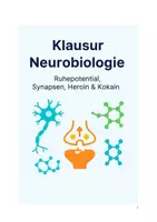 Vorschau - Klassenarbeiten - Klausur Neurobiologie Q1 - Seite 1