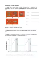 Vorschau - Test - Biologie EF - Klausur zur Biomembran und Mitose - Seite 3