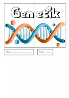 Vorschau - Arbeitsblätter - Lapbook zur Genetik – Mitose, DNA & Proteinbiosynthese - Seite 1