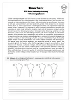 Vorschau - Arbeitsblätter - Sport: Trainingslehre - Knochen (Knochenanpassung) - Seite 3