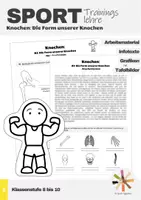 Vorschau - Arbeitsblätter - Sport: Trainingslehre - Knochen (Die Form unserer Knochen) - Deckblatt