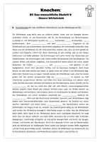 Vorschau - Arbeitsblätter - Sport: Trainingslehre - Knochen (Das menschliche Skelett V) - Seite 1