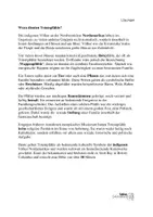 Vorschau - Unterrichtsreihen - Totempfahl aus Ton - Projekt Klasse 5-7 - Seite 3