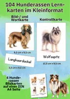 Vorschau - Bildkarten - Hunderassen Bildkarten digital – 104 Karten mit Bild und Wort für spielerisches Lernen im Vorschulalter - Seite 3