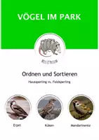 Vorschau - Arbeitsblätter - Ordnen: Haussperling, Feldsperling oder Spatz? (3-fache Ausführung) - Deckblatt