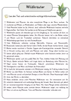 Vorschau - Arbeitsblätter - Wildkräuter Lesetext mit Fragen + Lösungen Leseverstehen Wortspeicher didaktische Reserve Lesen Leseverständnis - Seite 3