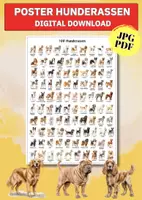 Vorschau - Poster - Hunde entdecken & vergleichen – 100 Hunderassen Lernposter für Schule & Projekte - Deckblatt