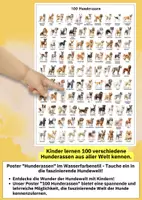 Vorschau - Poster - Hunde entdecken & vergleichen – 100 Hunderassen Lernposter für Schule & Projekte - Seite 1