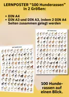Vorschau - Poster - Hunde entdecken & vergleichen – 100 Hunderassen Lernposter für Schule & Projekte - Seite 2