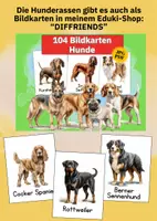 Vorschau - Poster - Hunde entdecken & vergleichen – 100 Hunderassen Lernposter für Schule & Projekte - Seite 3