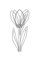 Vorschau - Mal- und Bastelvorlagen - Basteln Tuple Fensterbild Frühlingsblumen Frühjaresblüher - Seite 2
