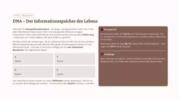 Vorschau - Präsentationen/Tafelbilder - 💻🧬 Bioinformatik – Wie Computer DNA lesen und verstehen (Sek I, Kl. 6–8) - Seite 3