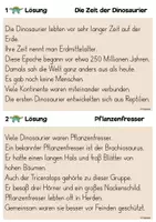 Vorschau - Arbeitsblätter - Dinosaurier - Abschreibkartei Groß- & Kleinschreibung - Seite 3
