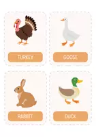 Vorschau - Fördermaterial/Inklusion - Bauernhoftiere Flashcards (ENG) – 12 Bildkärtchen für Kindergarten, Sachunterricht, Vorschule & Morgenkreis. Sprachförderung & Englisch als Zweitsprache. - Seite 3