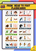 anteprima - Flashcard - From head to toe storytime flashcards - Pagina di copertina