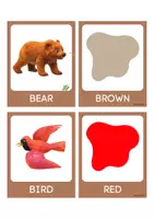anteprima - Flashcard - Brown Bear flashcards - Pagina 1