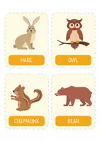 Vorschau - Fördermaterial/Inklusion - Waldtiere Flashcards (ENG) – 12 Bildkärtchen für Kindergarten, Sachunterricht, Vorschule & Morgenkreis. Sprachförderung & Englisch als Zweitsprache. - Seite 2