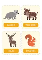 Vorschau - Fördermaterial/Inklusion - Waldtiere Flashcards (ENG) – 12 Bildkärtchen für Kindergarten, Sachunterricht, Vorschule & Morgenkreis. Sprachförderung & Englisch als Zweitsprache. - Seite 3