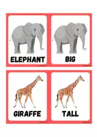 anteprima - Flashcard - flashcards and remember DEAR ZOO - Pagina 2
