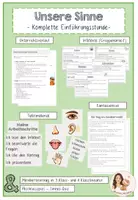Vorschau - Stundenentwürfe - Die Sinne / Das Auge - Materialpaket/ Komplette Unterrichtsreihe - Seite 1