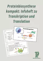 Vorschau - Arbeitsblätter - Proteinbiosynthese kompakt: Infoheft - Deckblatt