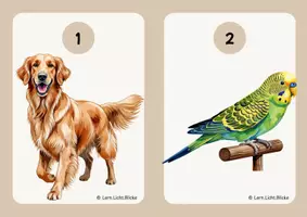 Vorschau - Stundenentwürfe - Story Walk Pets Lesespaziergang Englisch Grundschule 3. Klasse - Seite 1