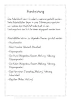 Vorschau - Arbeitsblätter - Haustiere Hund Katze Kaninchen Reptilien Arbeitsheft - Seite 2