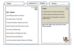 Vorschau - Arbeitsblätter - Pflanzen im Frühling Klasse 1 - Lesetexte Sachunterricht & Deutsch (differenziert) - Seite 2