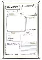 Vorschau - Arbeitsblätter - Steckbrief zum Hamster (2 Versionen) - Seite 1