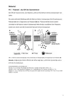 Vorschau - Klassenarbeiten - Klausur Biologie Q-Phase Neurophysiologie - Seite 2