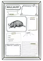 Vorschau - Arbeitsblätter - Steckbrief zum Maulwurf (2 Versionen) - Deckblatt