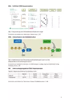 Vorschau - Klassenarbeiten - Klausur Q-Phase Gentechnische Verfahren und Evolution - Seite 3