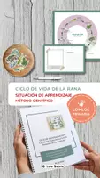 Vista previa - Unidades / Secuencias / Situaciones de Aprendizaje - EUSKERA: Pack Igelaren Bizi-zikloa (IKASTEKO EGOERA) - Biología 3. Primaria. - página 2