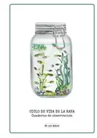Vista previa - Unidades / Secuencias / Situaciones de Aprendizaje - EUSKERA: Pack Igelaren Bizi-zikloa (IKASTEKO EGOERA) - Biología 3. Primaria. - página 3