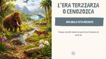 anteprima - Piani di lezione - LE ERE GEOLOGICHE con Capitan Curiosus - Pagina 2