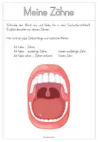 Vorschau - Arbeitsblätter - Mundgesundheit - Sachunterricht GS 1 - Seite 2