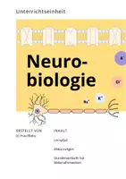 Vorschau - Unterrichtsreihen - Lernpfad Themenhalbjahr Neurobiologie (Frau Bieku) - Seite 1